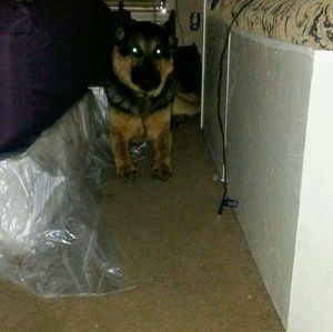 Meet your Posher, Beth